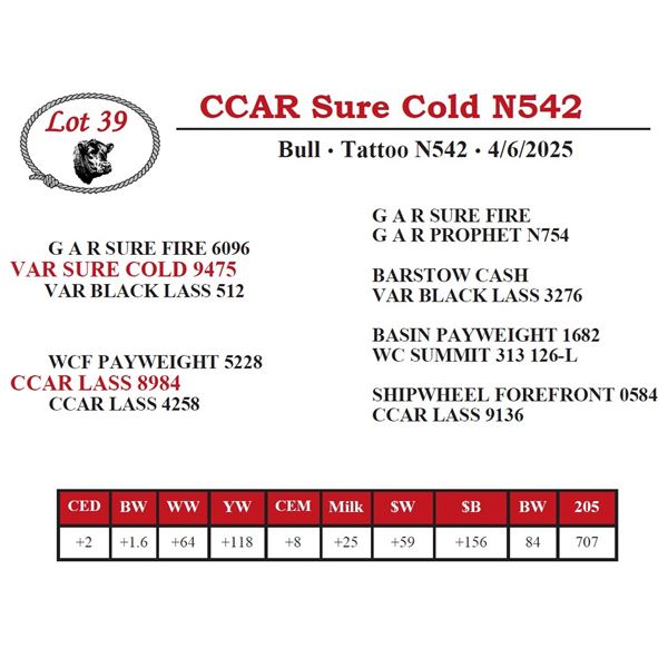 CCAR Sure Cold N542