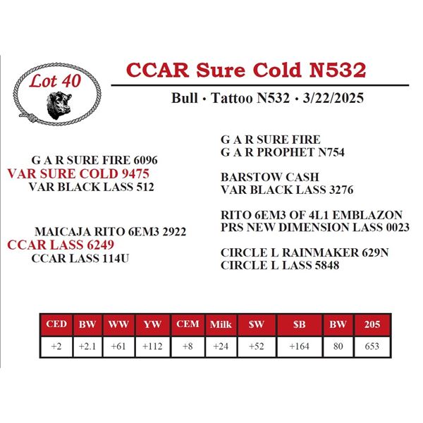 CCAR Sure Cold N532