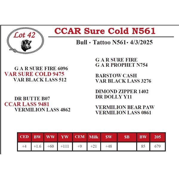 CCAR Sure Cold N561