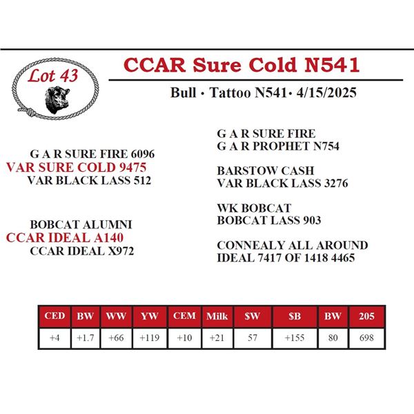 CCAR Sure Cold N541