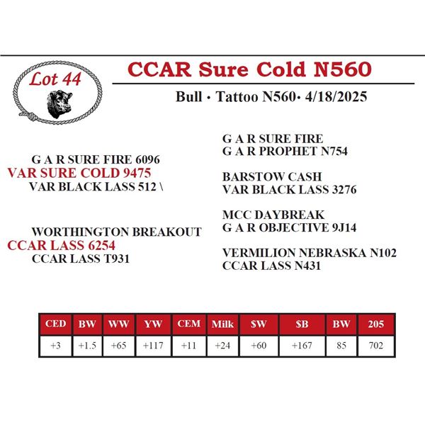 CCAR Sure Cold N560