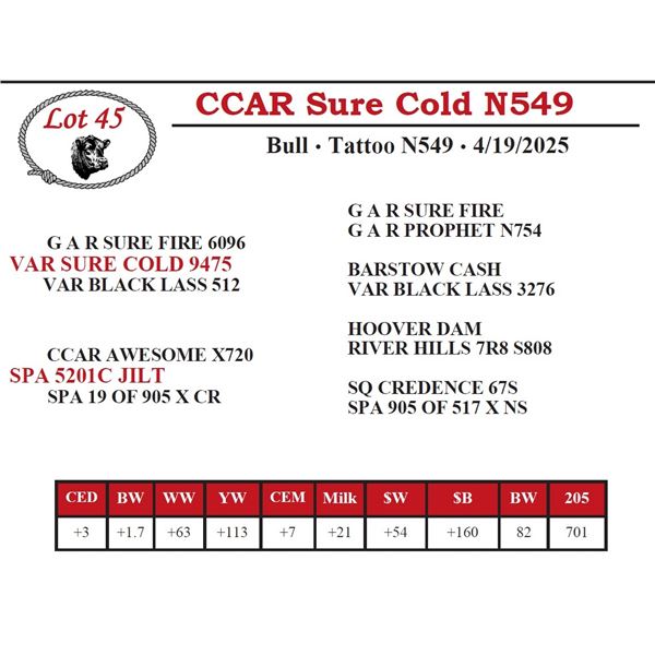 CCAR Sure Cold N549