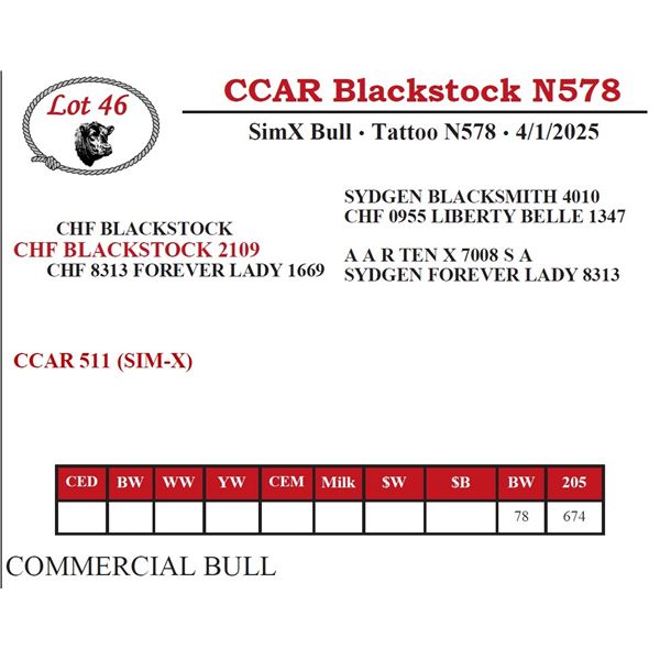 CCAR Blackstock N578
