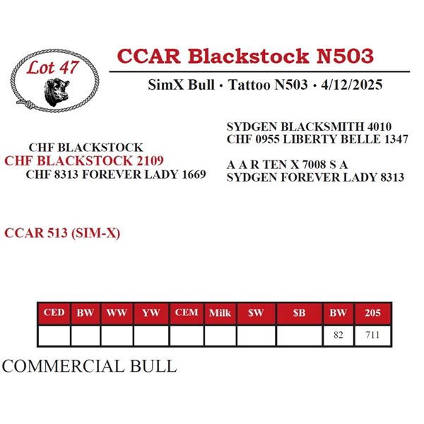CCAR Blackstock N503