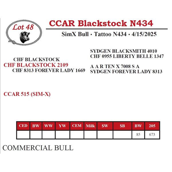 CCAR Blackstock N434