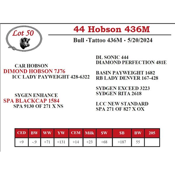 44 Hobson 436M
