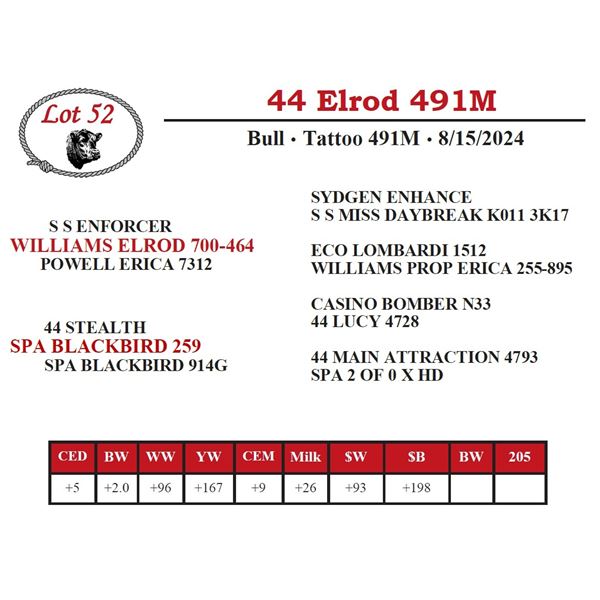 44 Elrod 491M
