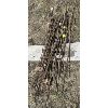 Image 1 : LOT OF 50 - METAL ELECTIC FENCE POSTS