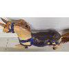 Image 8 : CARVED CAROUSEL HORSE