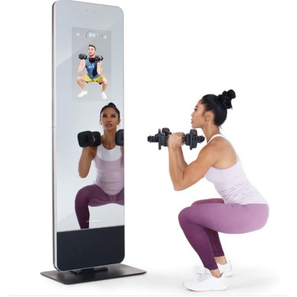 AS NEW PROFORM VUE MIRROR HOME GYM TRAINER MODEL, W/ WEIGHTS PFB14820C ...
