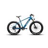 Image 1 : AS NEW HONEYWELL EL CAPTITAN X EBIKE, FAT TIRE ELECTRIC, ZERO KM ON BIKE - RETAIL $2599