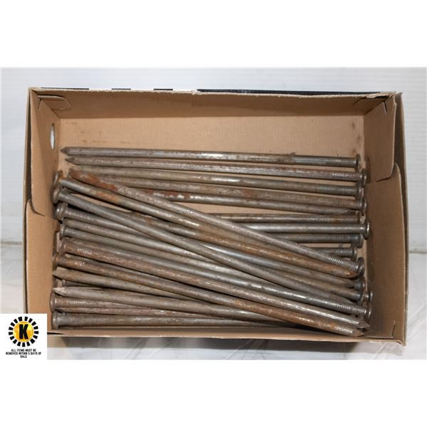 33 OF 12 INCH SPIKES