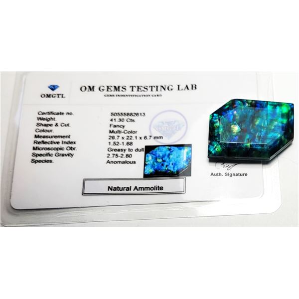 1)  NATURAL 41.3 CT MULTI COLORED AMMOLITE GEM-STO