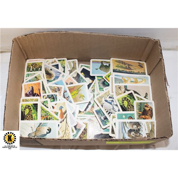 TEA COLLECTOR CARDS, APPROX 300, 1960S EARLY 70S