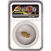 Image 2 : 3.06 Gram Yukon Gold Nugget NGC Graded