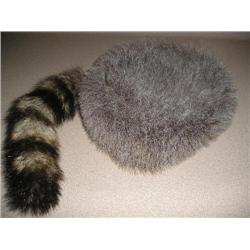 Coon skin cap