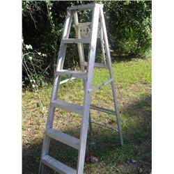 6' Ladder