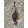 Image 1 : Horn w/silver accents