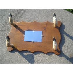 Hoof hat rack