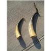 Image 1 : Two horns