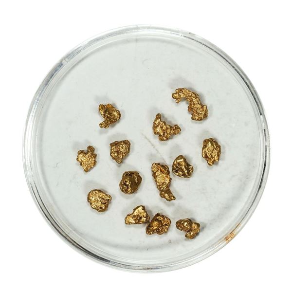 Gold Nuggets 2.19 Grams Total Weight