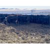 Image 8 : Antelope Butte Ranch - 662# Steers - 93 Head (Lundbreck, AB) VBP+