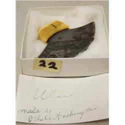 Ivory handled ulu made by Ethel Washington (37)