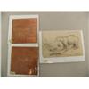 Image 1 : 2 copper engravings by Collins Averssuk; early steel engraving of a bear (37)
