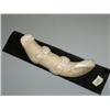 Image 1 : 9" whale bone otter mounted on baleen, Lot 95f (2)