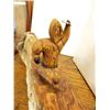 Image 2 : Cottonwood bark carving of hunter and seal 21" long (2)
