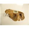 Image 1 : Whale bone walrus mother and child with ivory tusks and eyes 4", stock #331c (2)