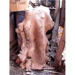 Caribou hide; seal skin owl (2)