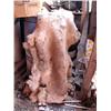 Image 1 : Caribou hide; seal skin owl (2)
