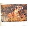 Image 3 : Lot of 2: print #202 of 1250 of 2 lions called "Togetherness" by Seerey; print of a Russian church b
