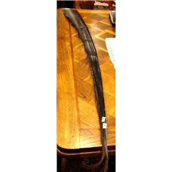 CHOICE on 4 five foot baleen strips, cleaned and polished (2)