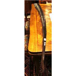 CHOICE on 4 five foot baleen strips, cleaned and polished (2)