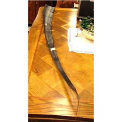 CHOICE on 2 very light colored 55" baleen (2)