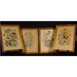 SERIES OF FOUR FRAMED BOTANICAL PRINTS