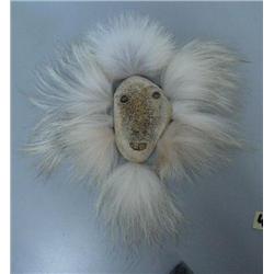 10" mask by D. Curtis made of whale bone, mammoth ivory and wolf fur (2)