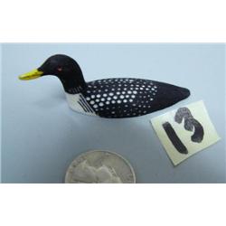 3" yellow-billed loon by Charlie Kokuluk (2)