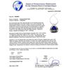 Image 4 : 12.82 ctw DARK Tanzanite and 2.31 ctw Diamond 14K White Gold Pendant