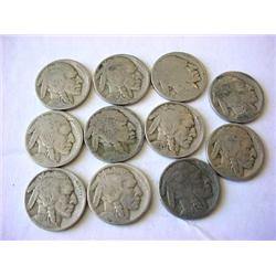 Eleven Buffalo Nickels