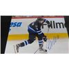Image 2 : Autographed Patrick Laine Winnipeg Jets 8" x 10" 
