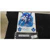 Image 1 : Autographed Tomas Kaberke Toronto Maple Leafs 8"x 10"