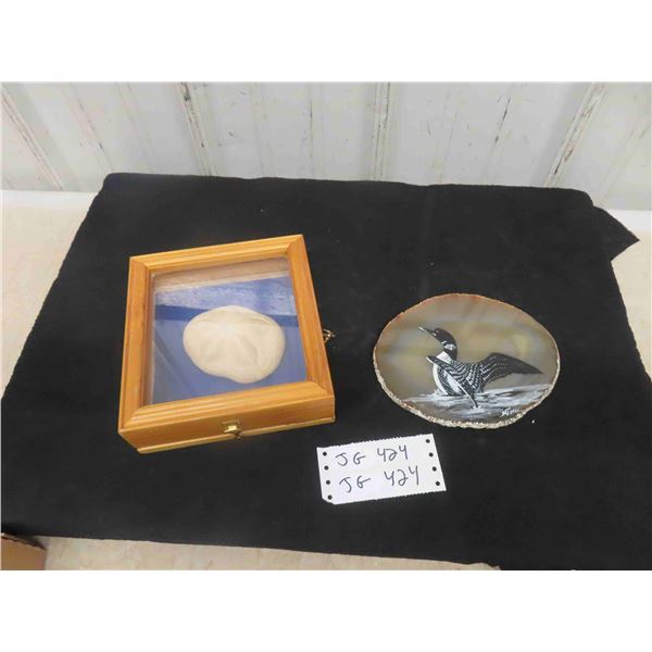 Sand Dollar in Wooden Display Case, Painting of Loon on Polished Stone