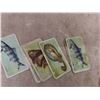Image 2 : 77 Vintage Imperial Tobacco Cards -Fishes of the World & Fishes + Bait - 