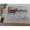 Image 3 : 9 Prints from Series Wildlife of Canadian Wilds in Original Box Prominent Canadian 