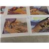 Image 4 : 9 Prints from Series Wildlife of Canadian Wilds in Original Box Prominent Canadian 