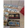 Image 5 : License Plates 1970 to 1990 ; North Dakota, Minnesota, Park Pontiac, BC, Camping 