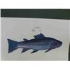 Image 2 : 33" x 39" Salmon Fish Framed Picture, Artmaster Studio, San Fernando, California